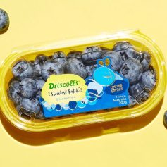 Driscolls' Sweetest Batch Blueberries 200g